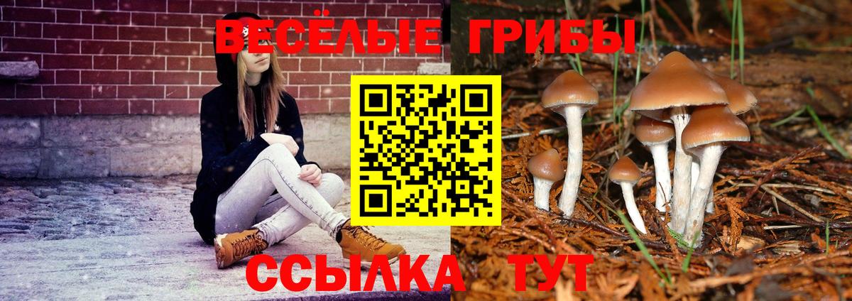 Псилоцибиновые грибы прущие грибы Торжок