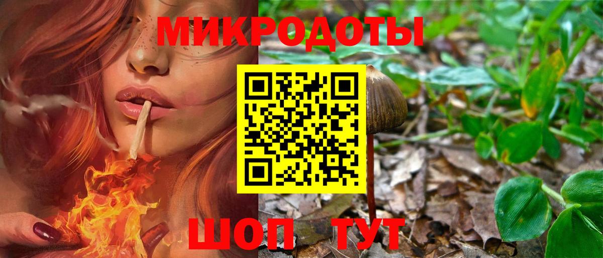дарнет шоп  Вход с VPN  Торжок  Псилоцибиновые грибы Psilocybe 